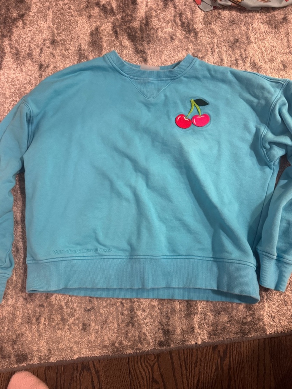 Terez Aqua Crewneck Sweatshirt with cherries patch